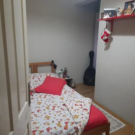 Tum Ev Kiralik Konut Merkeze Yakin Doga דירה