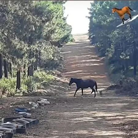 דירה Tum Ev Kiralik Konut Merkeze Yakin Doga איסטמבול