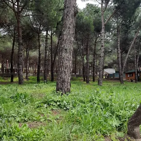 Tum Ev Kiralik Konut Merkeze Yakin Doga *