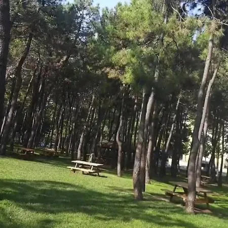 Tum Ev Kiralik Konut Merkeze Yakin Doga דירה איסטמבול