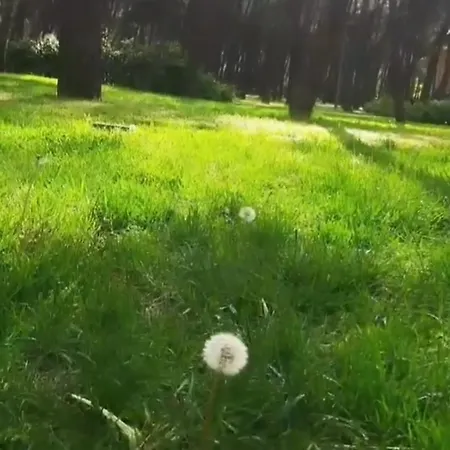 Tum Ev Kiralik Konut Merkeze Yakin Doga Apartment *